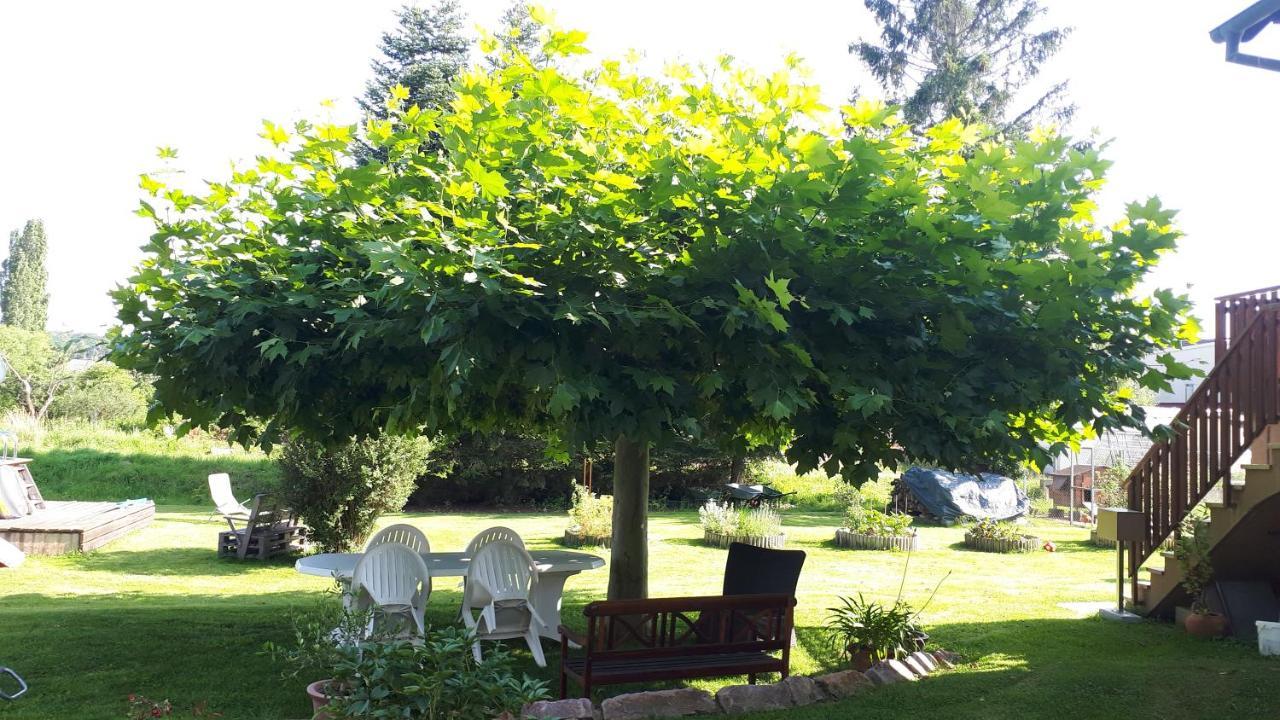 Gite "Le Platane" 45 M2 - Climatise Monswiller Bagian luar foto