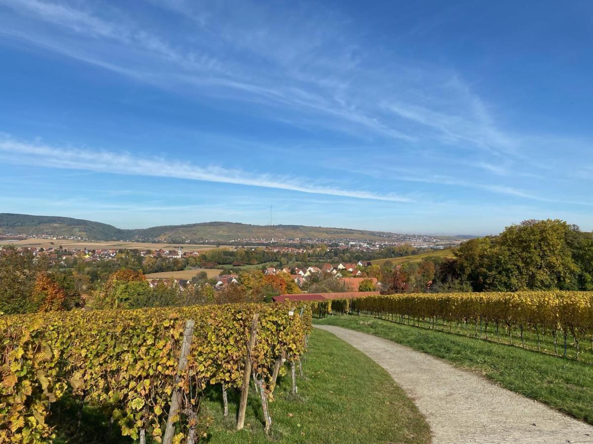 Gite "Le Platane" 45 M2 - Climatise Monswiller Bagian luar foto