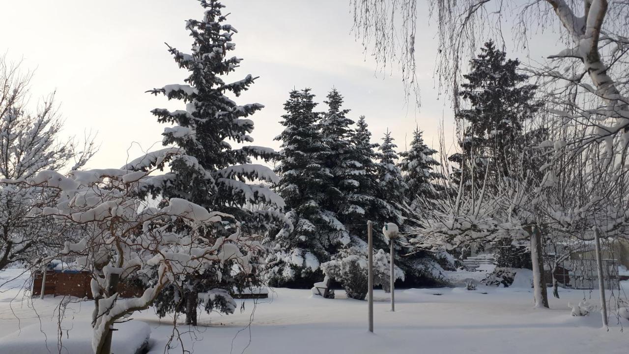Gite "Le Platane" 45 M2 - Climatise Monswiller Bagian luar foto