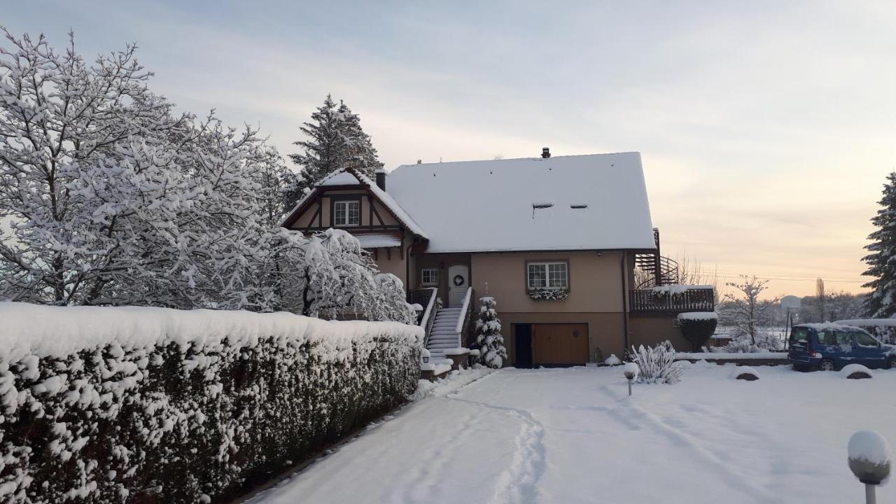 Gite "Le Platane" 45 M2 - Climatise Monswiller Bagian luar foto