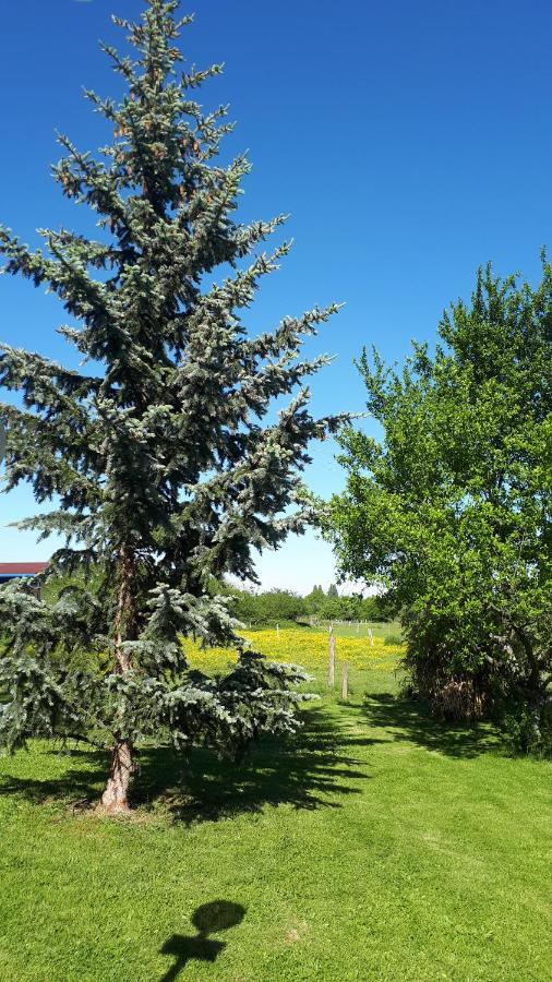 Gite "Le Platane" 45 M2 - Climatise Monswiller Bagian luar foto