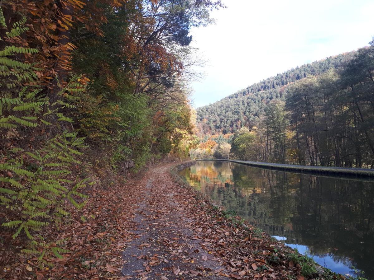 Gite "Le Platane" 45 M2 - Climatise Monswiller Bagian luar foto