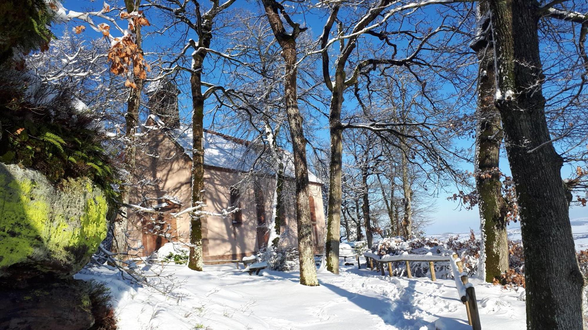 Gite "Le Platane" 45 M2 - Climatise Monswiller Bagian luar foto
